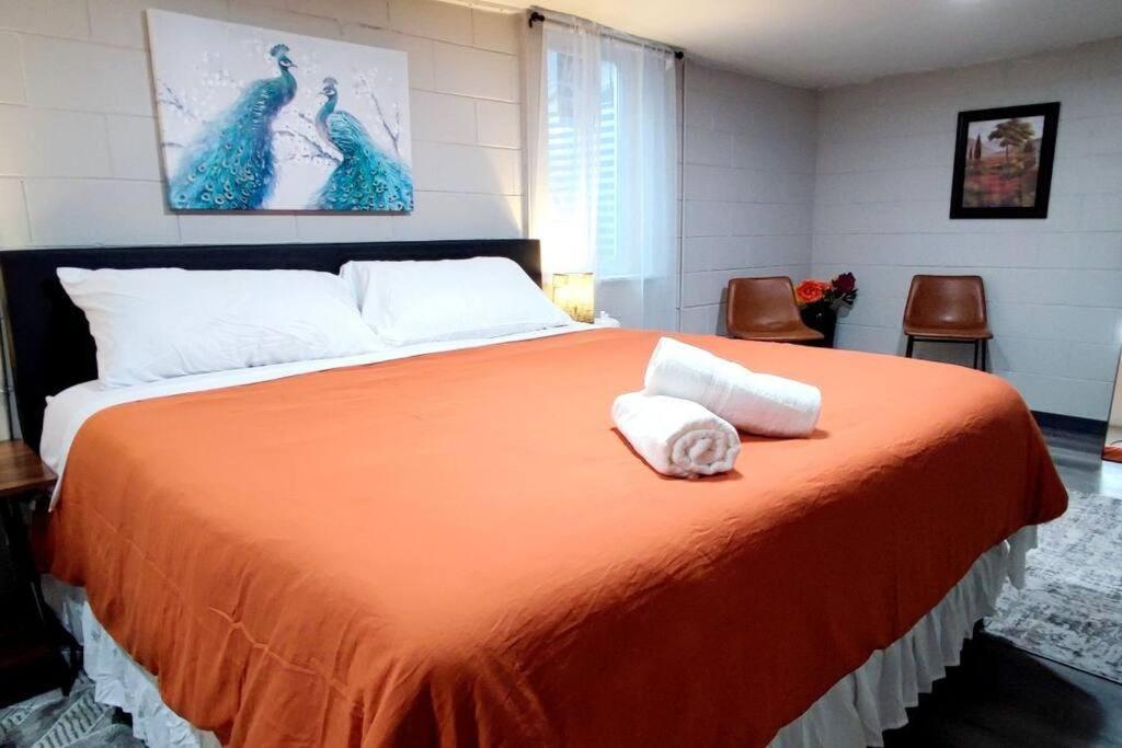 Spacious Suite Close To Downtown Indy/ King Bed Indianapolis Eksteriør bilde
